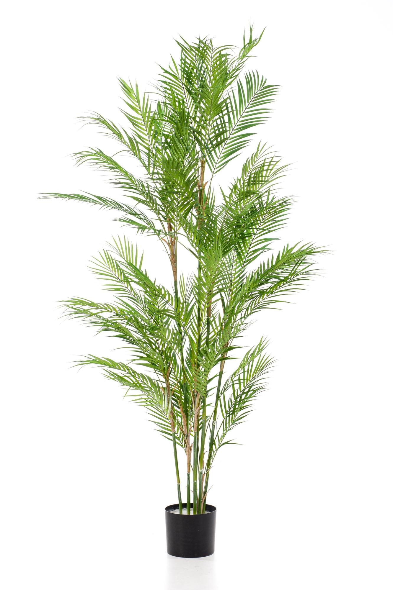 Kunstplant Chamaedorea Elegans Bergpalm 180 cm