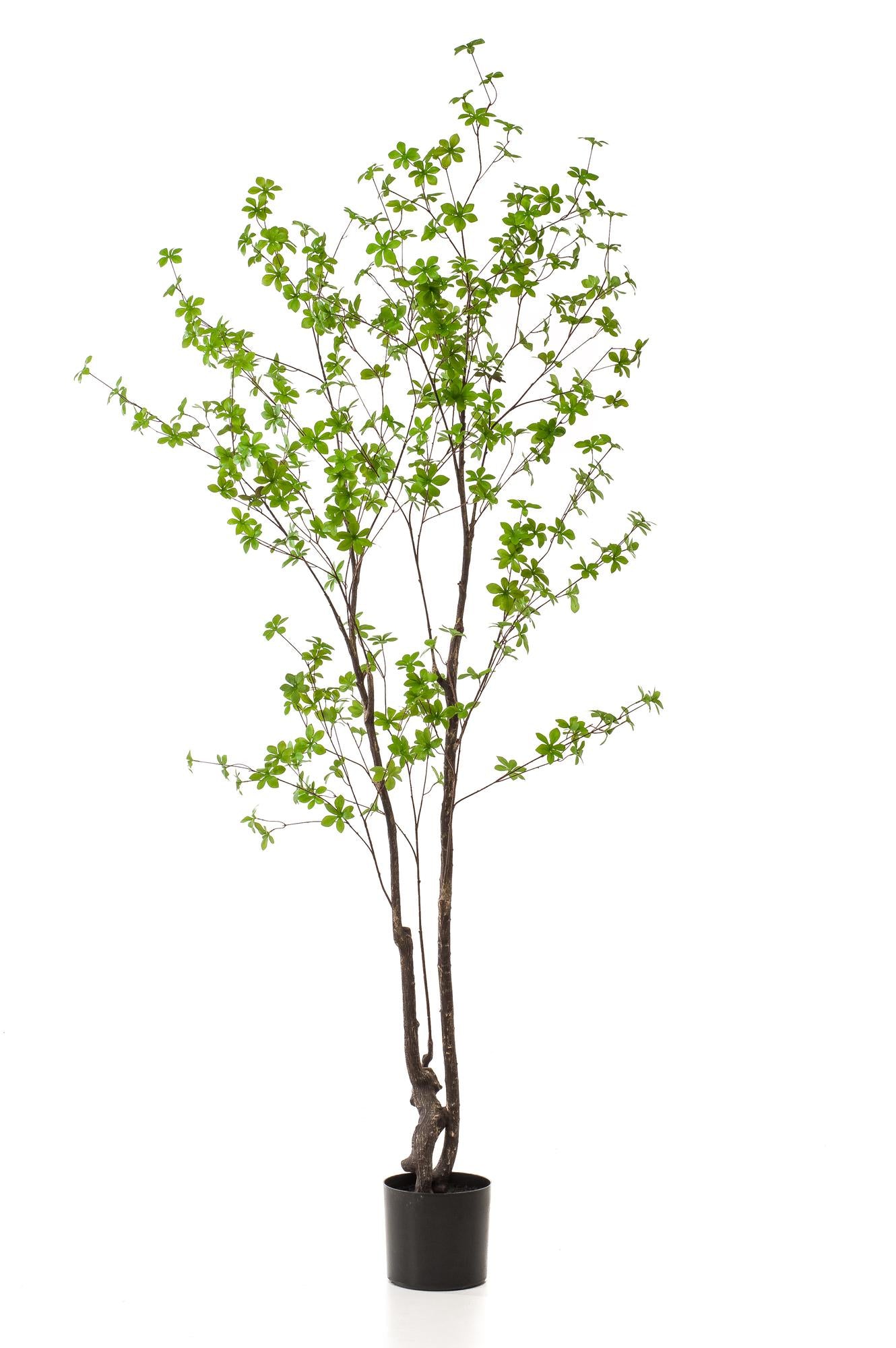 Kunstplant Tropaeolum Speciosum Oost Indische Kers 210 cm