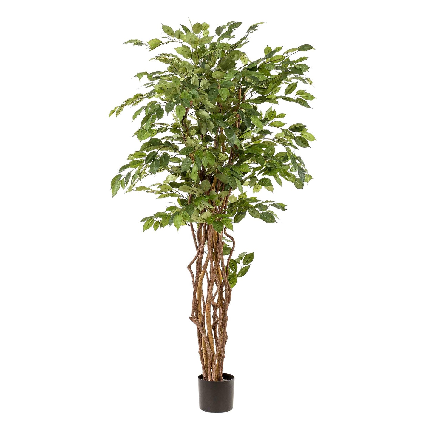 kunstplant Ficus liana Vioolbladplant 170cm