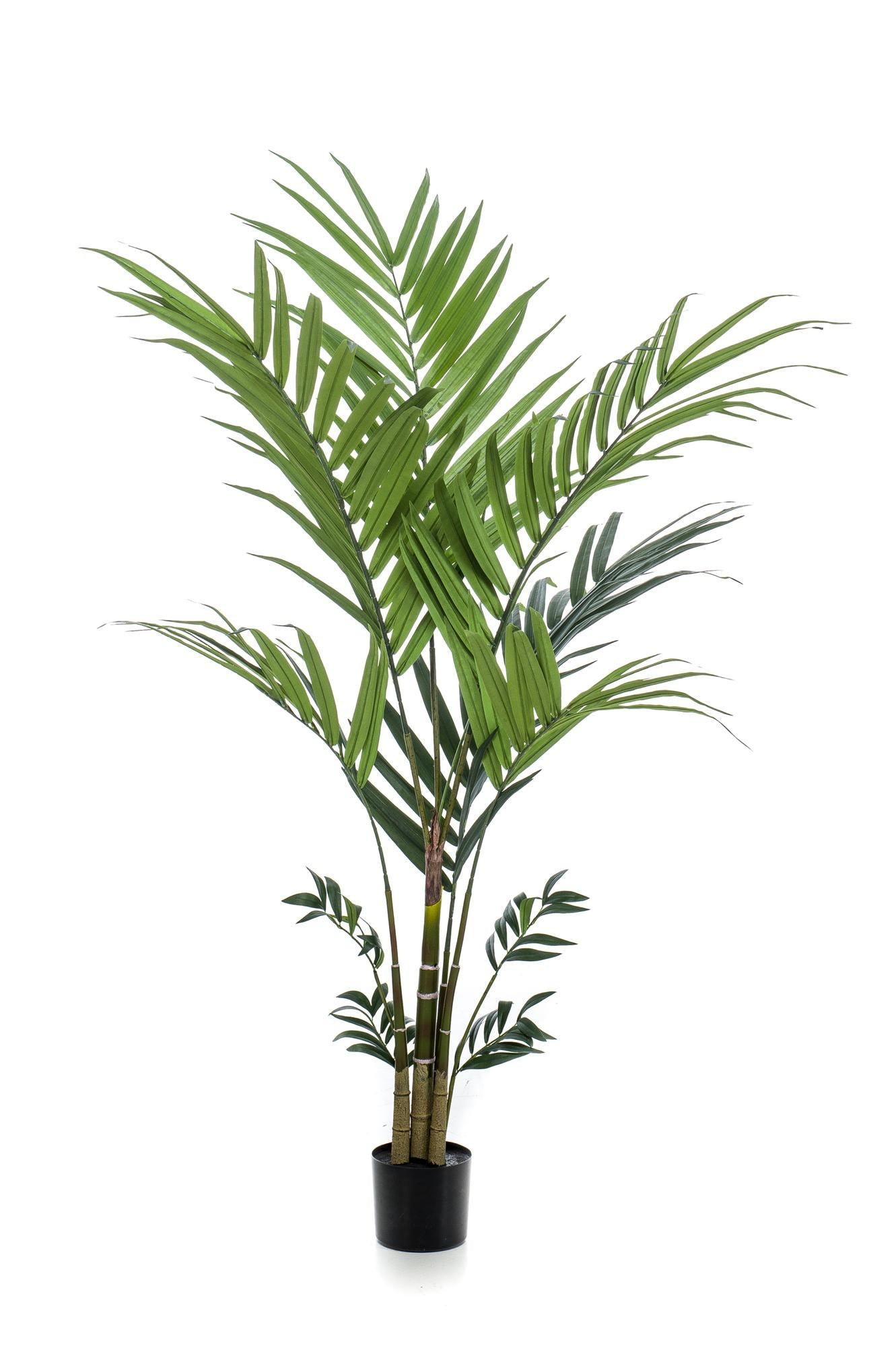 Kunstplant Kentiapalm 180 - 210 cm