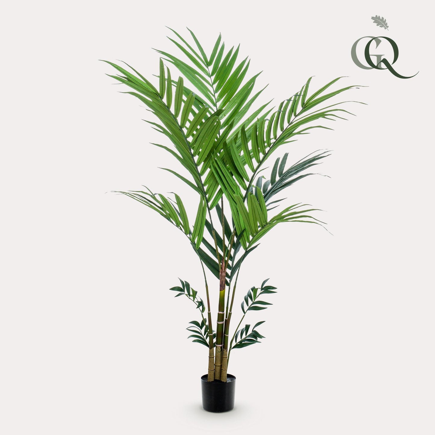 Kunstplant Kentiapalm 180 - 210 cm