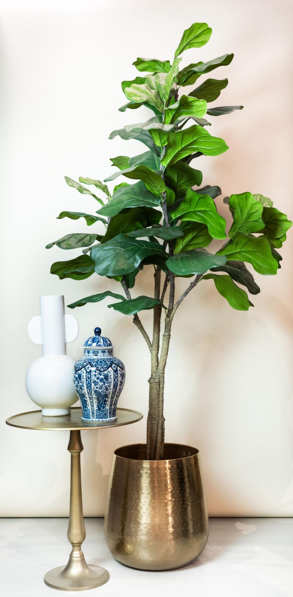 Kunstplant Ficus Lyrata Tabaksplant 180 - 210 cm