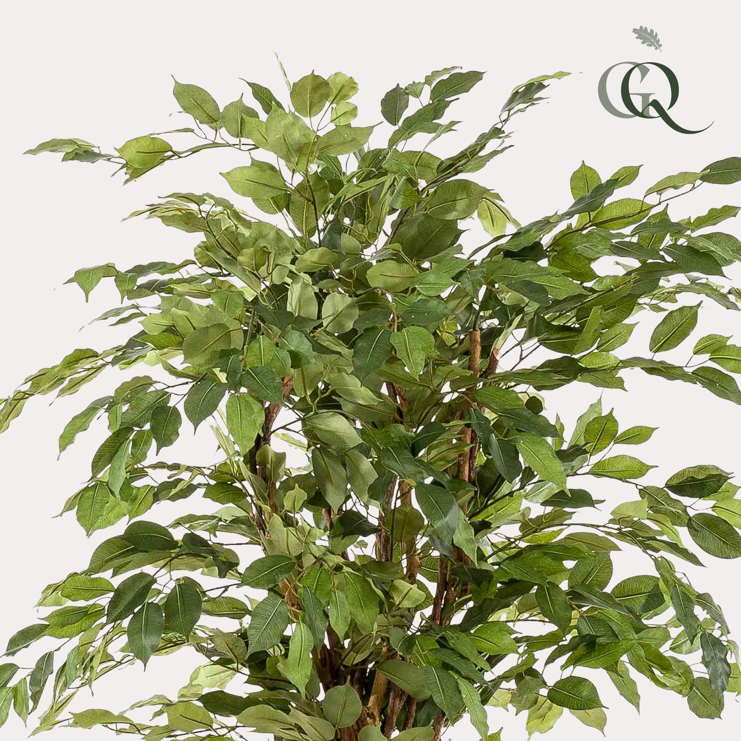 kunstplant Ficus liana Vioolbladplant 170cm