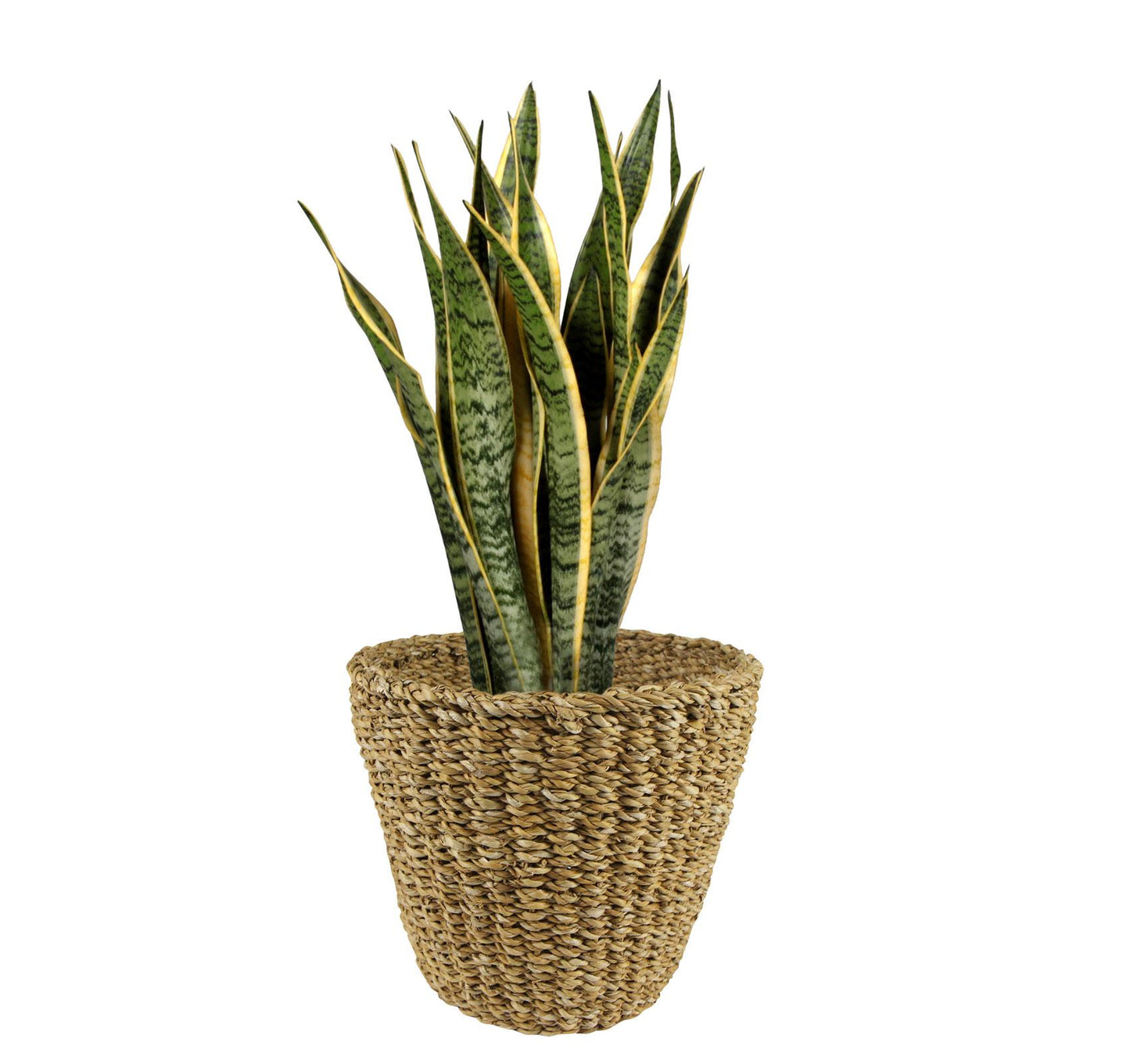 Mand Jip naturel - H25 D30