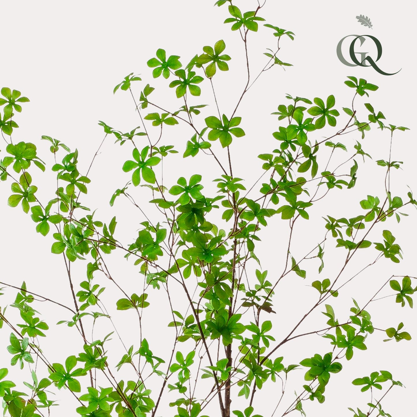 Kunstplant Tropaeolum Speciosum Oost Indische Kers 210 cm
