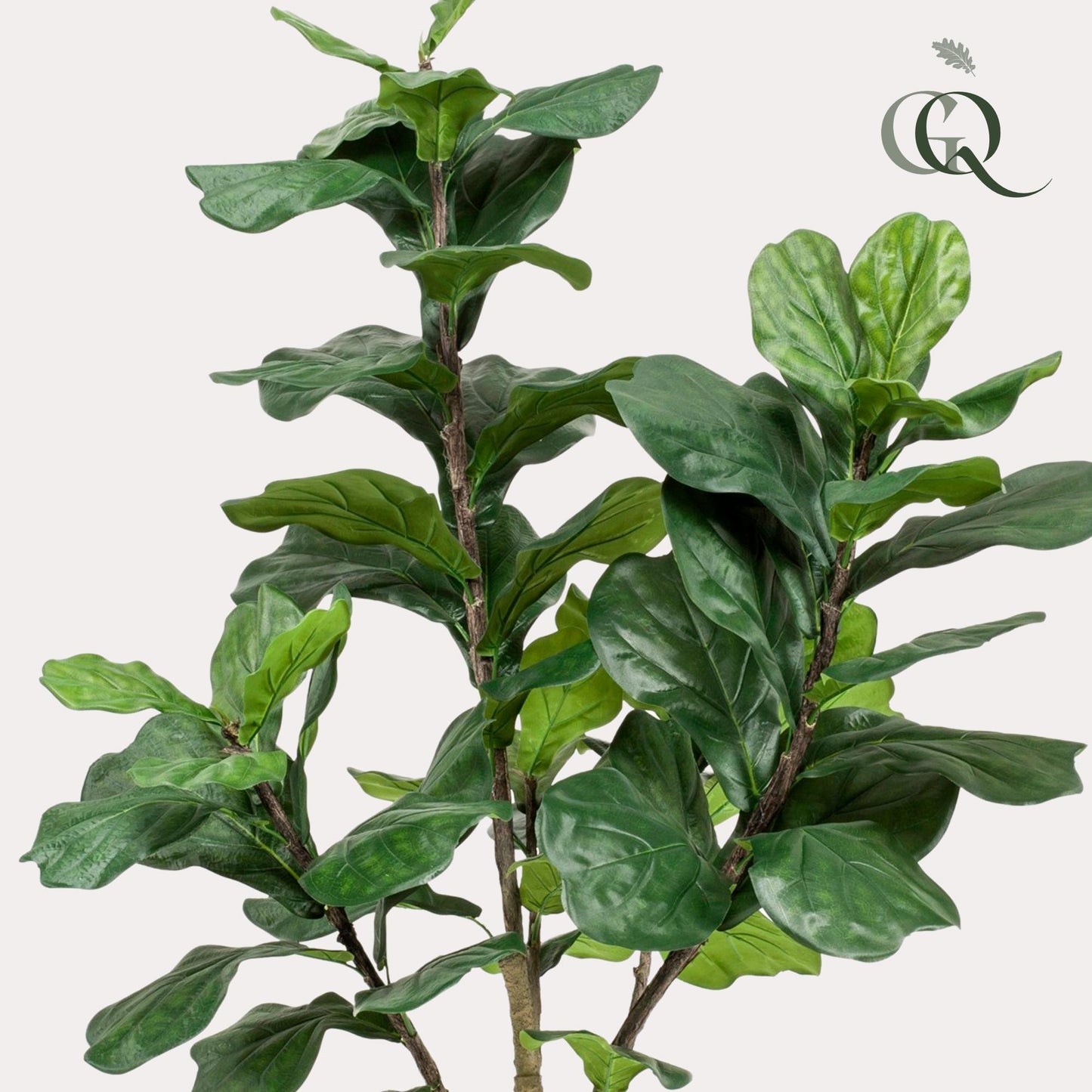 Kunstplant Ficus Lyrata Tabaksplant 180 - 210 cm