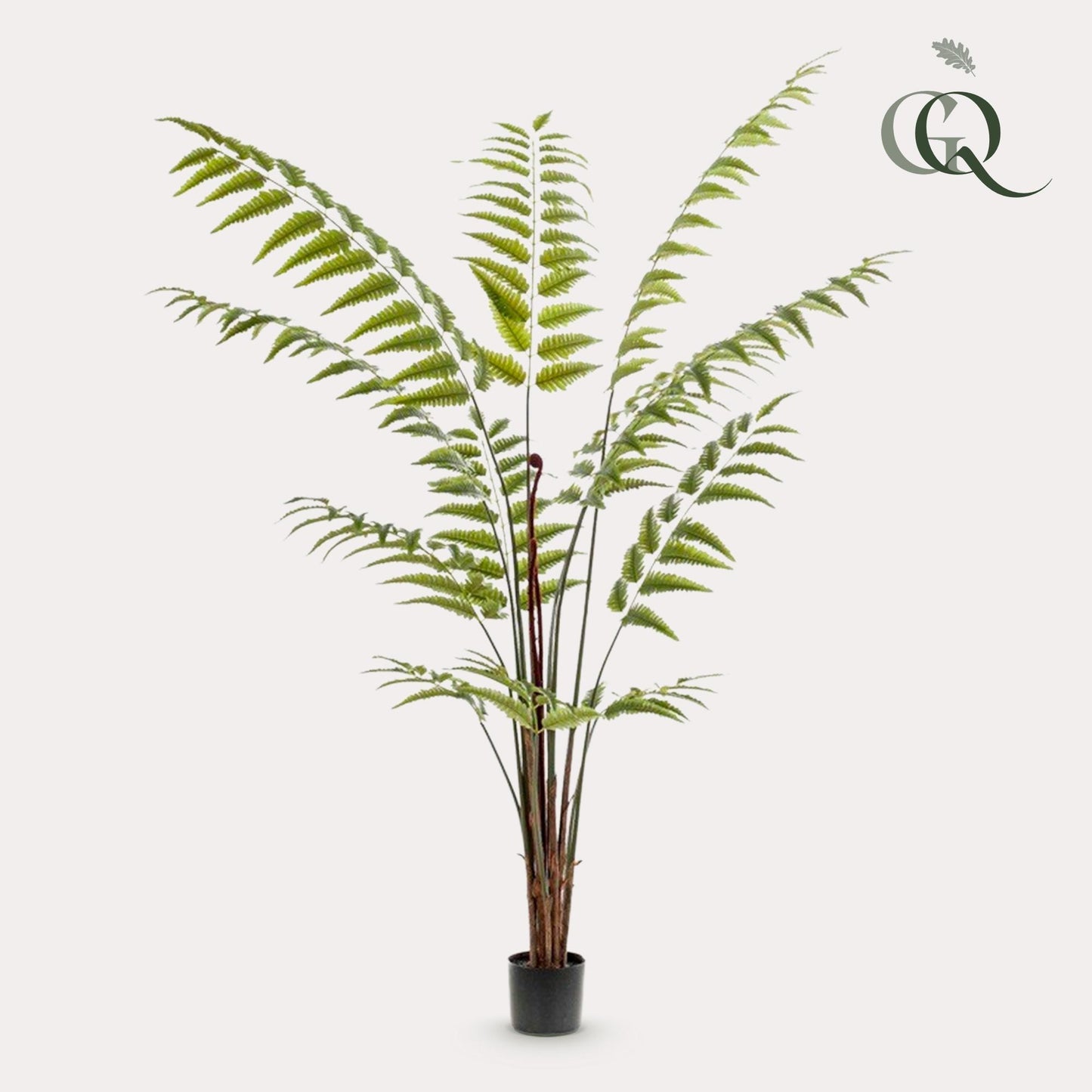 Kunstplant Rumohra Adiantiformis Ledervaren 180 cm