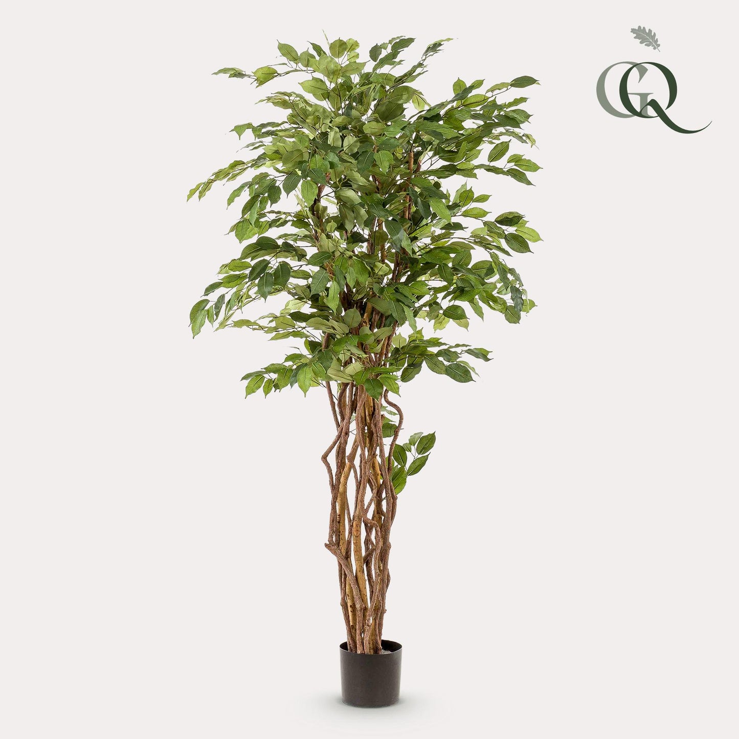 kunstplant Ficus liana Vioolbladplant 170cm