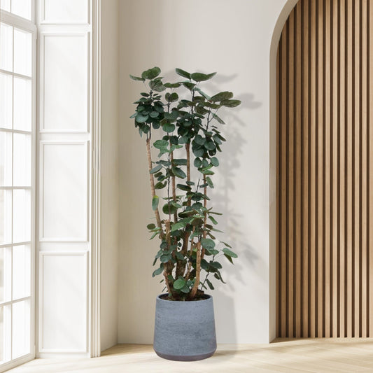 Polysicas Fabian XXL - 160 cm - ⌀30