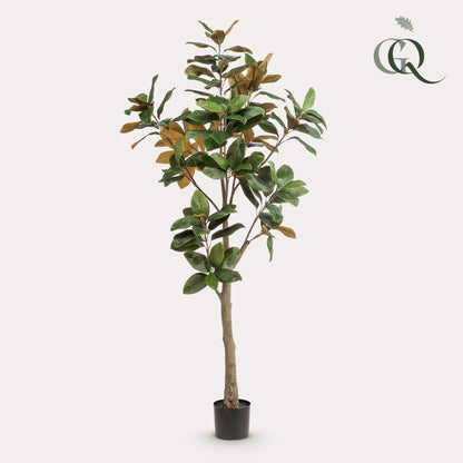 Kunstplant Magnolia Grandiflora 180 cm