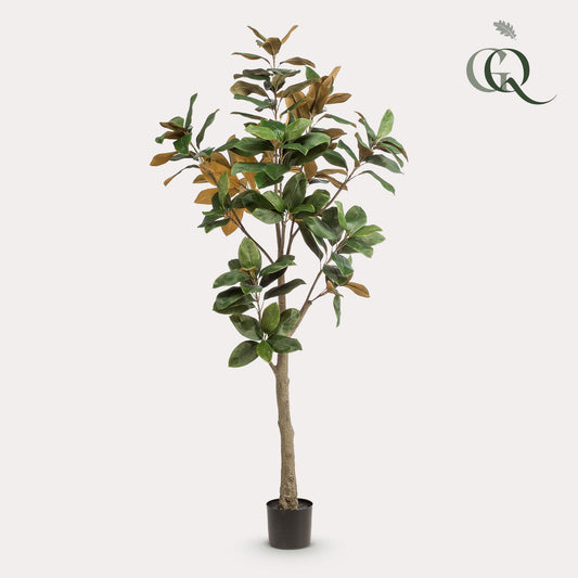 Kunstplant Magnolia Grandiflora 180 cm