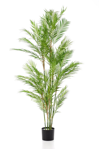Kunstplant Chamaedorea Elegans Bergpalm 180 cm