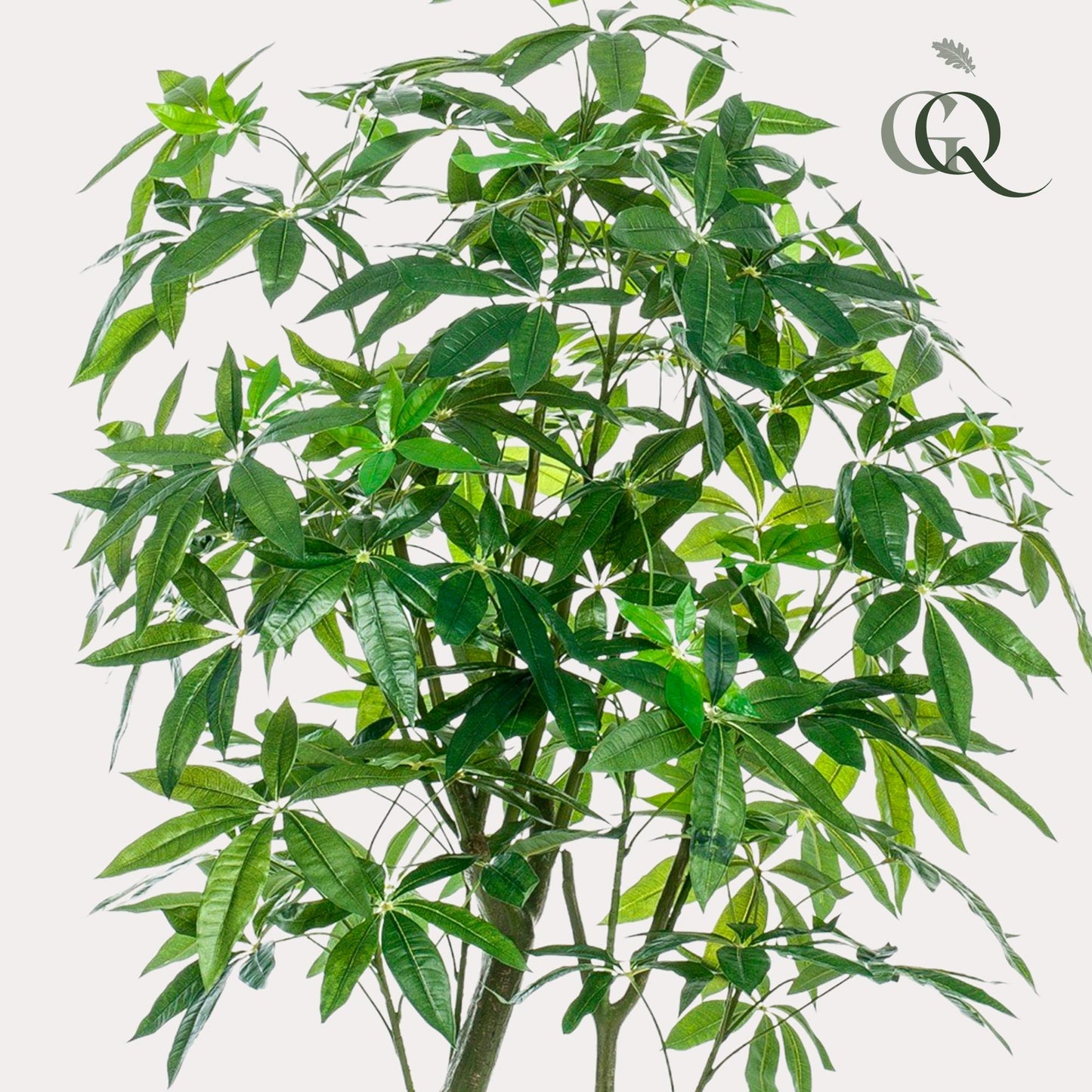 Kunstplant Pachira Aquatica Geldboom 180 cm