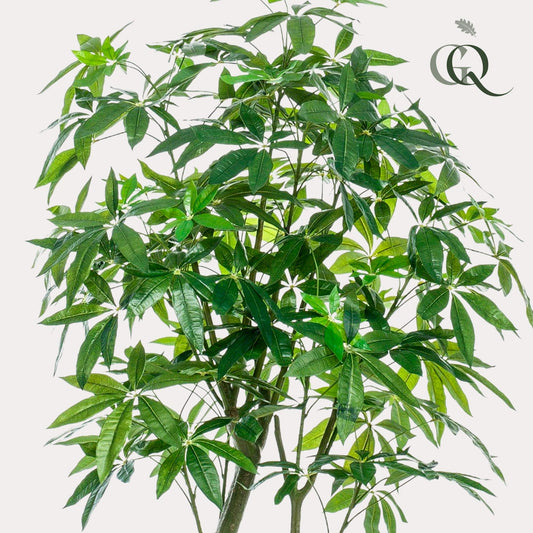 Kunstplant Pachira Aquatica Geldboom 180 cm