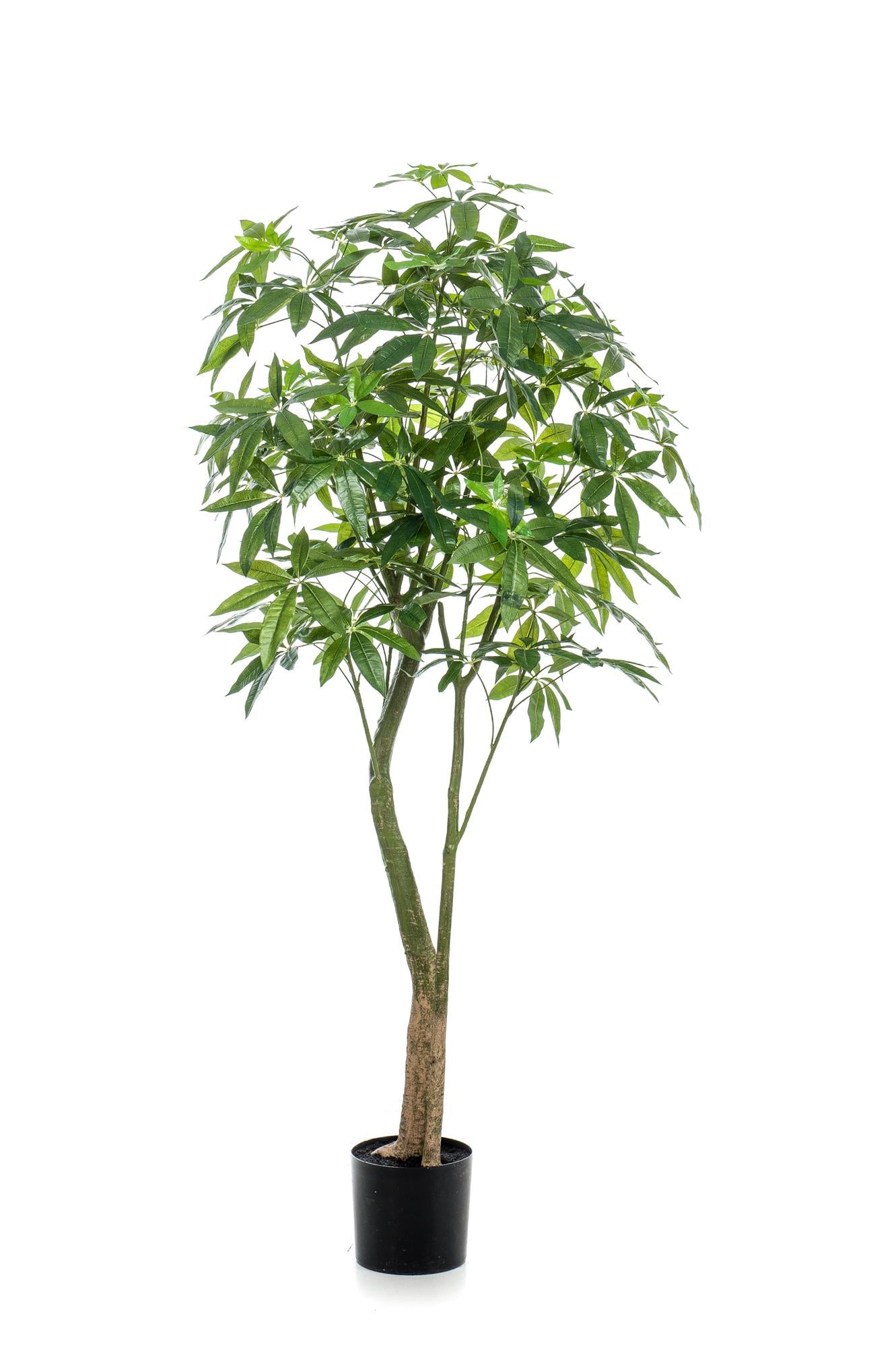 Kunstplant Pachira Aquatica Geldboom 180 cm