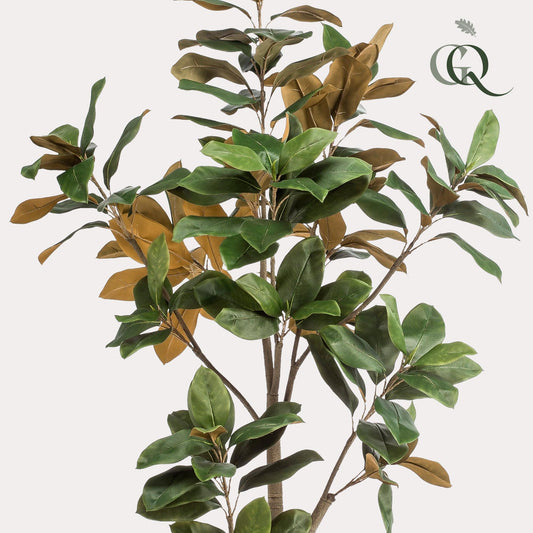 Kunstplant Magnolia Grandiflora 180 cm