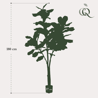 Kunstplant Ficus Lyrata Tabaksplant 180 - 210 cm