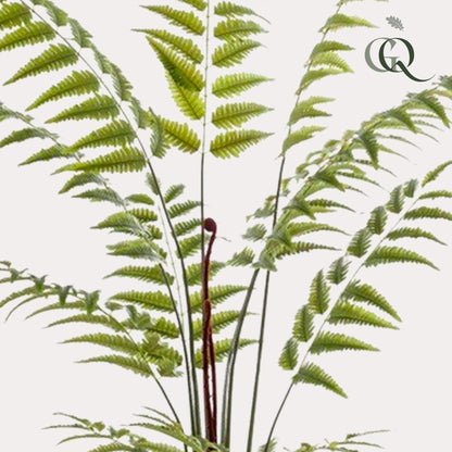 Kunstplant Rumohra Adiantiformis Ledervaren 180 cm