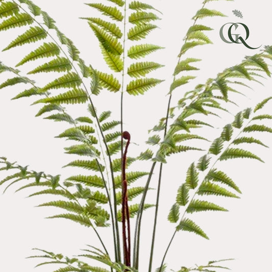 Kunstplant Rumohra Adiantiformis Ledervaren 180 cm