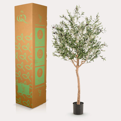 Kunst Olijfboom Olea europaea Olijfboom 180 cm