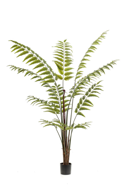 Kunstplant Rumohra Adiantiformis Ledervaren 180 cm