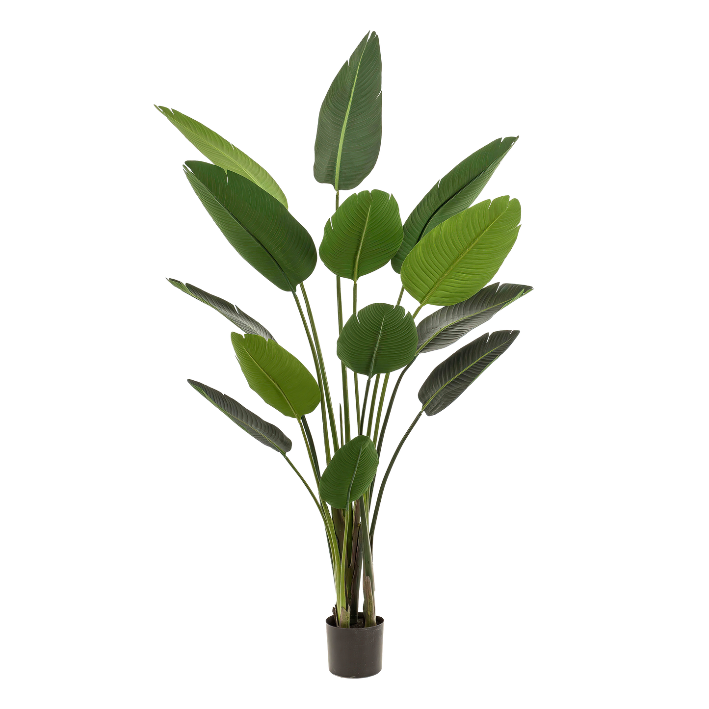 Kunstplant Strelitzia Nicolai Paradijsvogelbloem 190 - 230cm