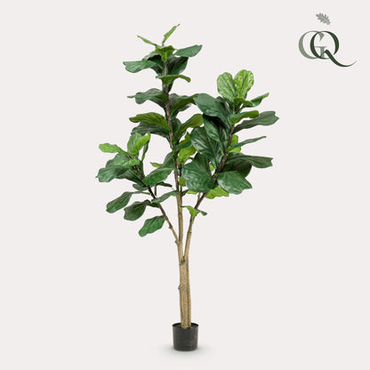 Kunstplant Ficus Lyrata Tabaksplant 180 - 210 cm