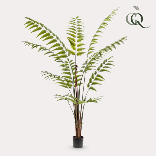 Kunstplant Rumohra Adiantiformis Ledervaren 180 cm